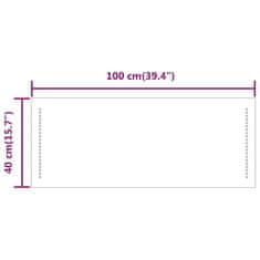 Greatstore Koupelnové zrcadlo s LED osvětlením 100 x 40 cm