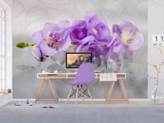 AG Design Něžná orchidej, fototapeta , 360x270 cm