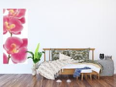 AG Design Růžové orchideje, vliesová fototapeta 90x202 cm