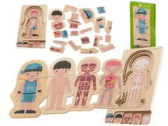 InnoVibe Montessori dřevěné skládačka části těla - chlapec
