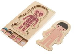 InnoVibe Montessori dřevěné skládačka části těla - chlapec