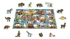 InnoVibe Wooden City Dřevěné puzzle Zvířecí pohlednice 2v1, 505 dílků EKO