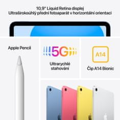 Apple iPad 2022, Cellular, 256GB, Blue (MQ6U3FD/A)