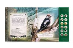 InnoVibe Zvuková knížka - Ptáci našich lesů