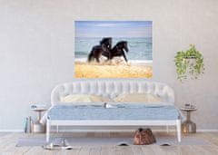 AG Design Koně na pláži, vliesová fototapeta, 155x110 cm