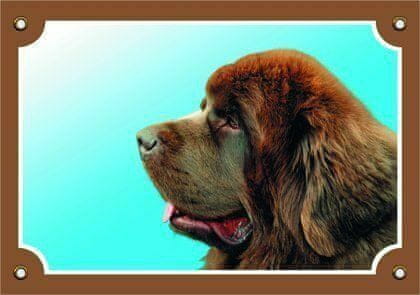 DAFIKO Barevná cedulka pozor pes, novofundlanský pes hnědý