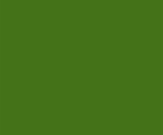 DERWENT Procolour 50 moss green, derwent, umělecké pastelky