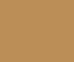 DERWENT Lightfast pastelky yellow ochre,