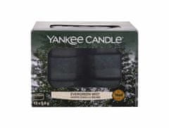 Yankee Candle 117.6g evergreen mist, vonná svíčka