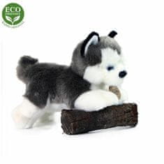 Rappa Plyšový pes husky 20 cm eco-friendly