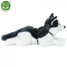 Rappa Plyšový pes husky s obojkem ležící 60 cm eco-friendly