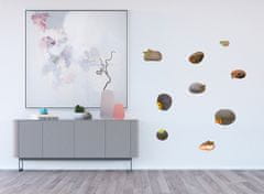 AG Design Samolepka na zeď, SM 3436, Kameny s motýly, 42,5x65 cm
