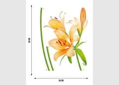 AG Design Samolepka na zeď, F 0450, Oranžové lilie, 65x85 cm