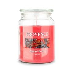 SVÍČKA VE SKLE S VÍČKEM 510G SPICED BERRY,1 KNOT