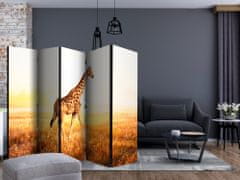 Artgeist Paraván - Žirafa - procházka II 225x172
