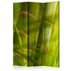 Artgeist Paraván - Bambus - přírodní zen 135x172