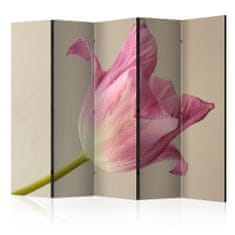 Artgeist Paraván - Růžový tulipán II 225x172