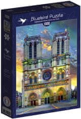 Blue Bird Puzzle Notre Dame