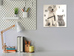 Glasdekor Nástěnné hodiny 30x30cm bílé stěně a šedé kotě - Materiál: plexi