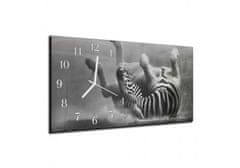 Glasdekor Nástěnné hodiny 30x60cm zebra - Materiál: kalené sklo