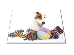 Glasdekor Skleněné prkénko pes jack russel s hračkami - Prkénko: 30x20cm