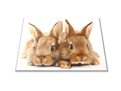 Glasdekor Skleněné prkénko dva hnědí králíci - Prkénko: 40x30cm