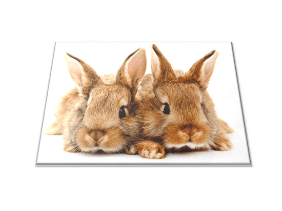 Glasdekor Skleněné prkénko dva hnědí králíci