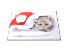 Glasdekor Skleněné prkénko kotě v čepici Santy - Prkénko: 30x20cm
