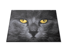 Glasdekor Skleněné prkénko obličej černá kočka - Prkénko: 30x20cm