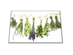 Glasdekor Skleněné prkénko bylinky visící na šňůře a kolíčky - Prkénko: 40x30cm