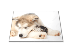 Glasdekor Skleněné prkénko spící štěně a kotě - Prkénko: 30x20cm