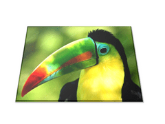 Glasdekor Skleněné prkénko barevný papoušek tukan - Prkénko: 30x20cm