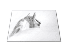 Glasdekor Skleněné prkénko andaluský kůň v mlze - Prkénko: 30x20cm