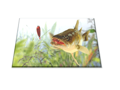 Glasdekor Skleněné prkénko dravá ryba candát - Prkénko: 30x20cm