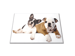 Glasdekor Skleněné prkénko pes buldog a anglický buldoček - Prkénko: 30x20cm