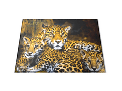 Glasdekor Skleněné prkénko šelma jaguár s mláďaty - Prkénko: 30x20cm