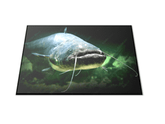 Glasdekor Skleněné prkénko dravá ryba sumec - Prkénko: 30x20cm