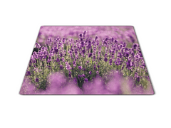 Glasdekor Skleněné prkénko pole květů levandulí - Prkénko: 40x30cm