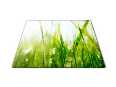 Glasdekor Skleněné prkénko zelená tráva s rosou - Prkénko: 40x30cm