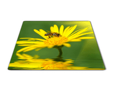 Glasdekor Skleněné prkénko včela na žluté kopretině - Prkénko: 40x30cm