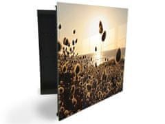 Glasdekor skříňka na klíče - traviny v západu slunce u moře - Otevírání: Levé, Barva skříňky: Bílá