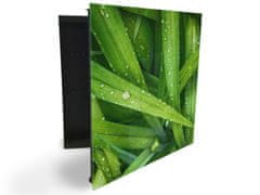 Glasdekor skříňka na klíče - detail trávy s rosou - Otevírání: Pravé, Barva skříňky: Černá