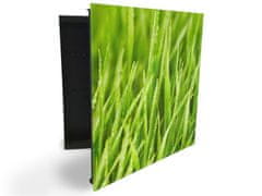 Glasdekor skříňka na klíče - detail zelené jarní trávy - Otevírání: Pravé, Barva skříňky: Černá