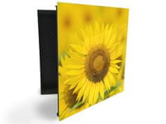 Glasdekor skříňka na klíče - detail květ slunečnice - Otevírání: Pravé, Barva skříňky: Černá