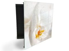 Glasdekor skříňka na klíče - detail květu bílá orchidej - Otevírání: Pravé, Barva skříňky: Černá