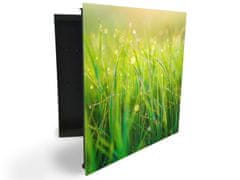 Glasdekor skříňka na klíče - detail orosené trávy v ranním slunci - Otevírání: Pravé, Barva skříňky: Černá