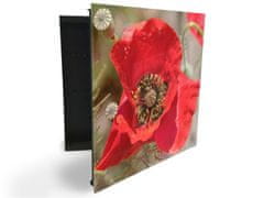 Glasdekor skříňka na klíče - detail červený květ vlčí mák - Otevírání: Levé, Barva skříňky: Bílá