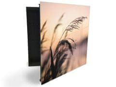 Glasdekor skříňka na klíče - stvol trávy v západu slunce - Otevírání: Levé, Barva skříňky: Bílá