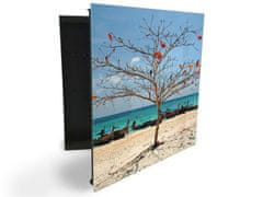 Glasdekor skříňka na klíče - strom bez listí na pláži u moře - Otevírání: Levé, Barva skříňky: Bílá