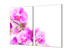 Glasdekor Skleněný kryt na stěnu květy fialové orchideje - Ochranná deska: 50x50cm, Lepení na zeď: S lepením na zeď